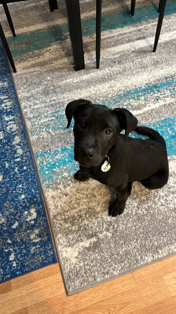 First week with Yeti