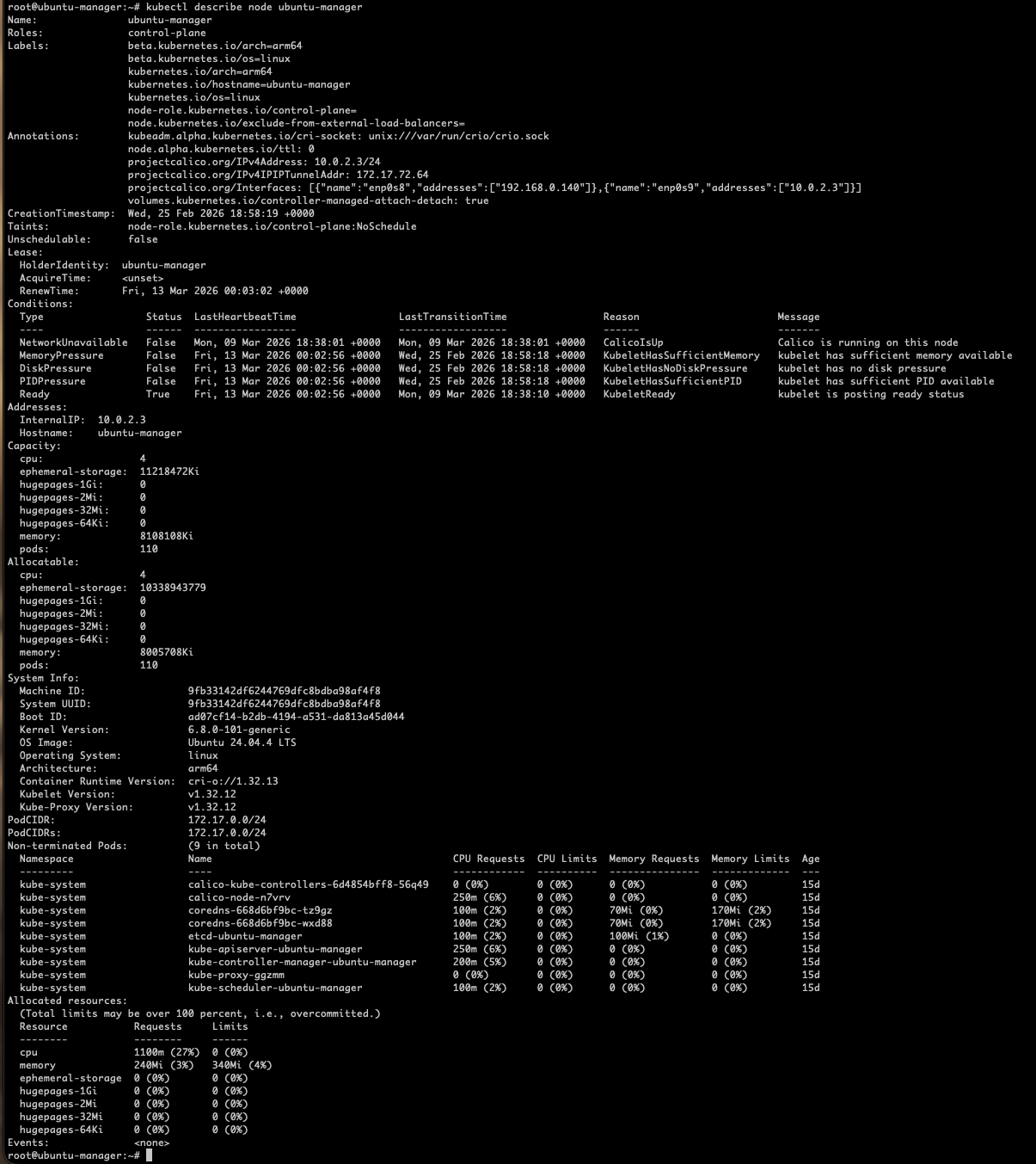kubectl describe node output