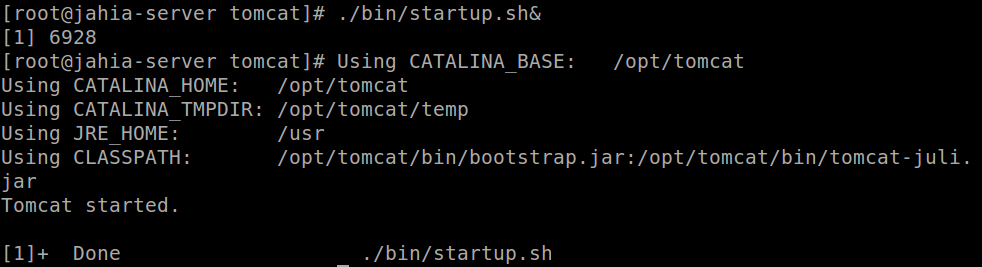 java se 6 runtime catalina