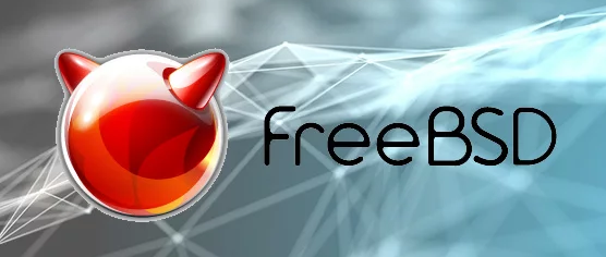 Some basic commands to get started on FreeBSD